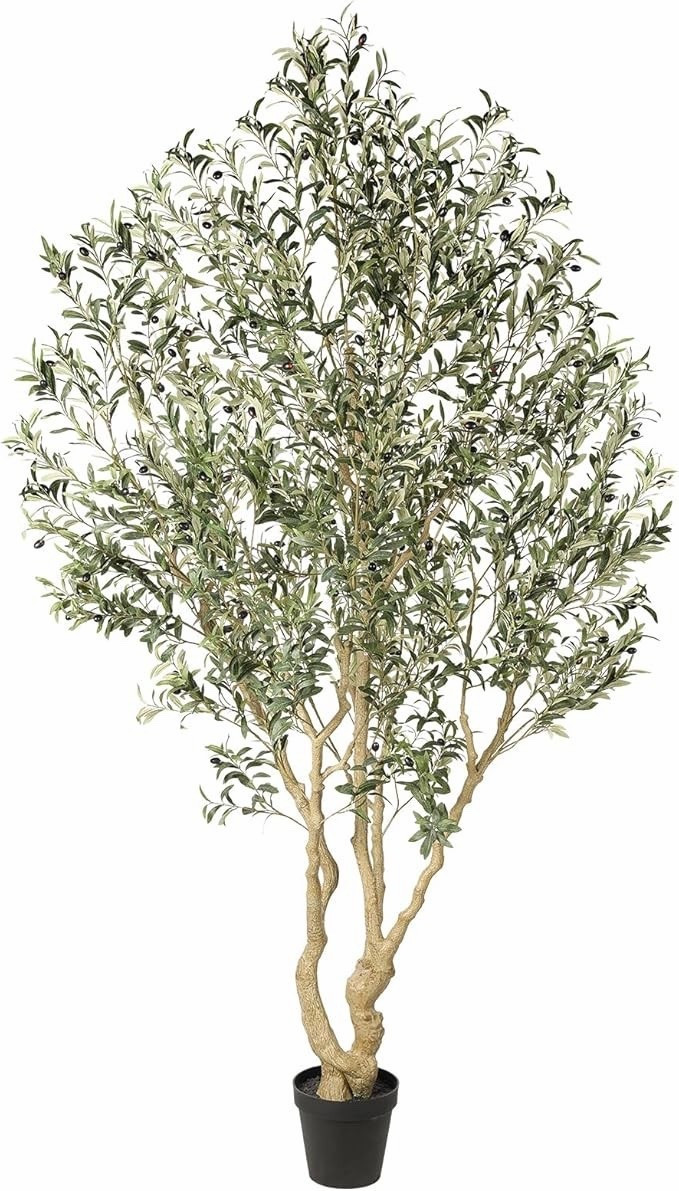 The best price I’ve seen for this beautiful faux olive tree! Comes in 6’, 7’, 8’ and 9’ and it’s ON SALE! I ordered the 8'

#LTKSaleAlert #LTKHome