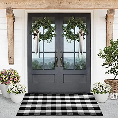 Lili Rey Buffalo Plaid Rug – 3 x 5 Black and White Outdoor Rug, Washable Indoor/Outdoor Rug, Fr... | Amazon (US)