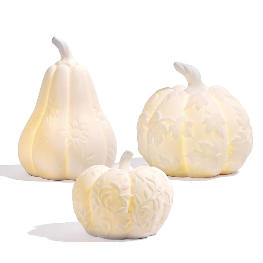 Set of 3 Large Ceramic Pumpkin with Light, Thanksgiving Table Decorations Decorative White Pumpki... | Amazon (US)