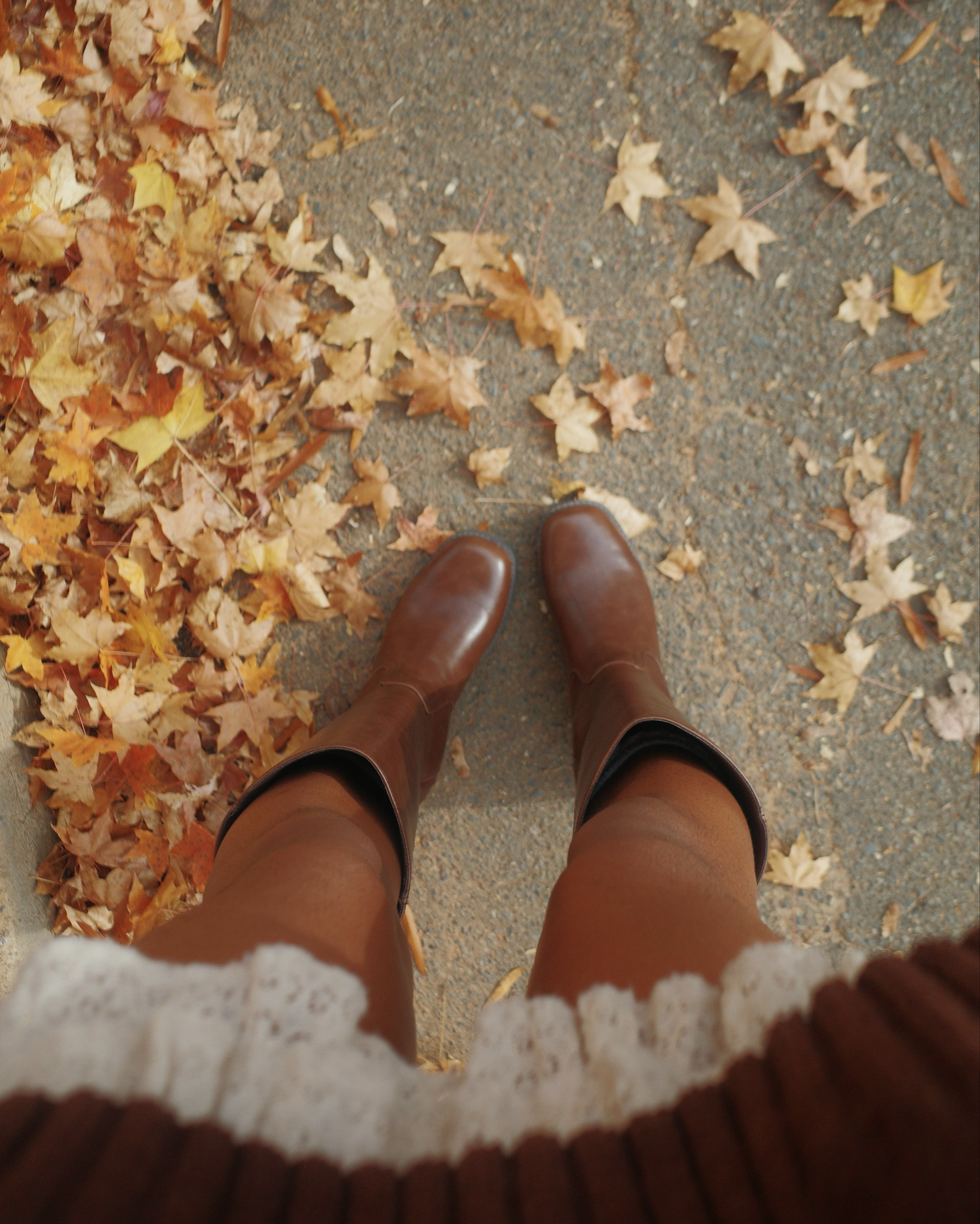 boots for fall 🍂

#LTKPetite #LTKSeasonal #LTKootd