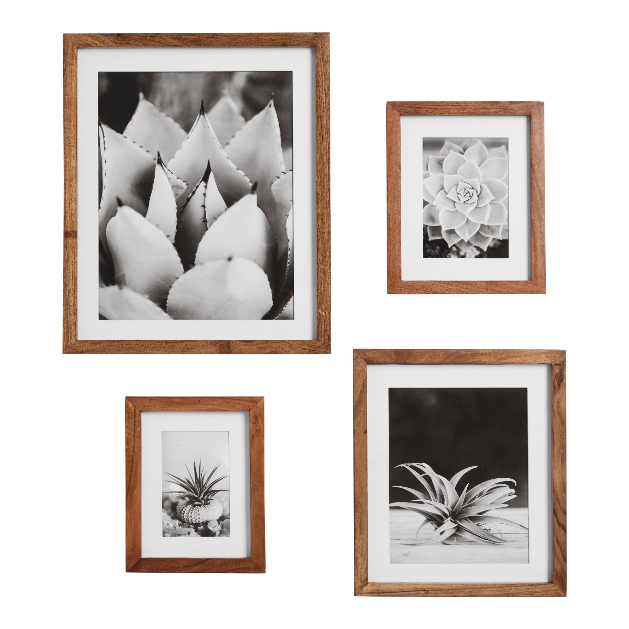 Natural Acacia Wood Wall Frame - 5"x7" by World Market | World Market