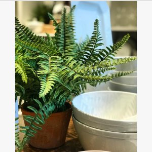 Faux Boston Fern Houseplant | Pottery Barn (US)