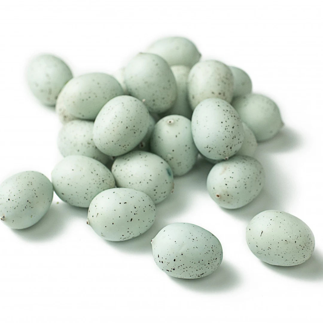 Decorative Robins Eggs Set of 24 | Etsy (US)