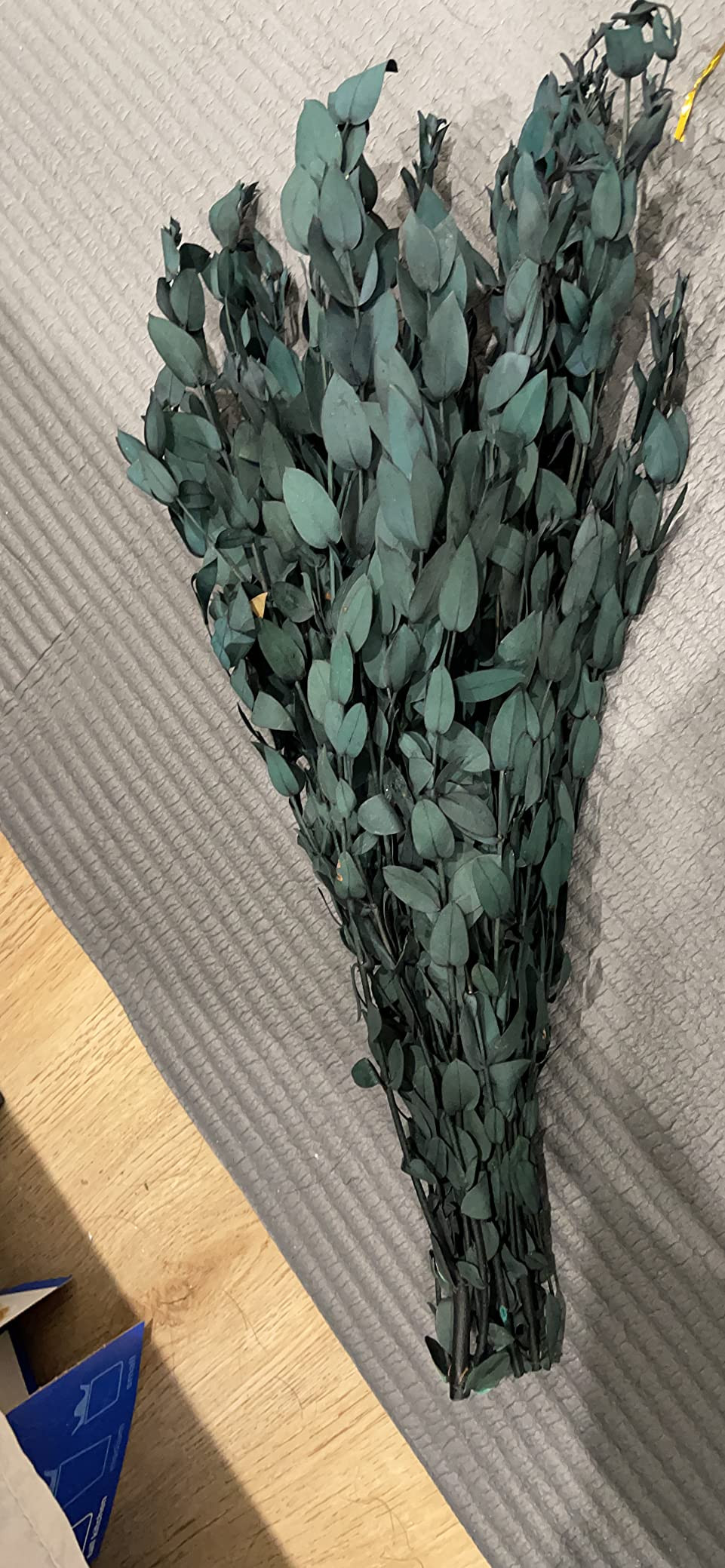 Visit the Store | Amazon (US)