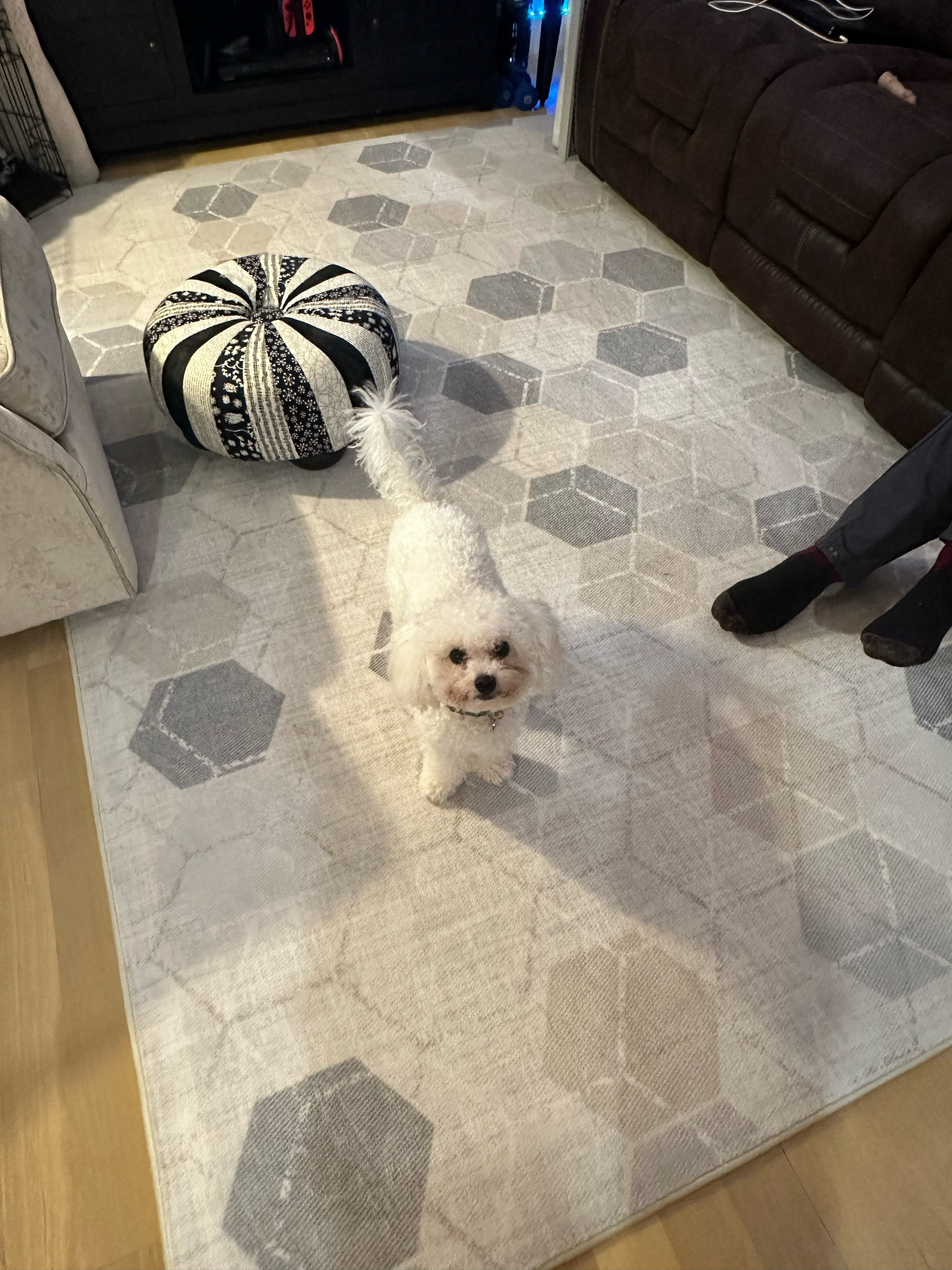 Ruggable washable rug for living room. Modern neutral hexagon pattern.

Color: Natural
Size: 6’ x 9’
Premium rug (7mm) & cushioned pad for a thicker, plushier feel 

#LTKhome #LTKSeasonal #LTKBacktoSchool