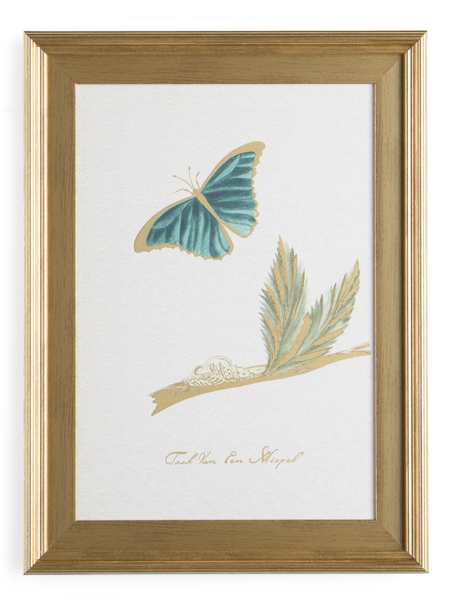 18x24 Butterfly Stump Fli Gold Framed Wall Art | Pillows & Decor | Marshalls | Marshalls