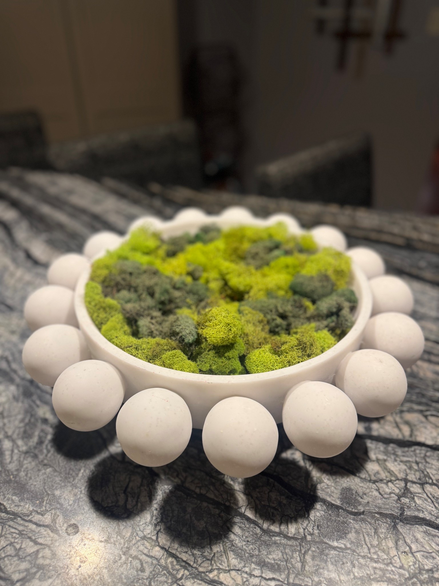 Decorative Moss 

#LTKHome
