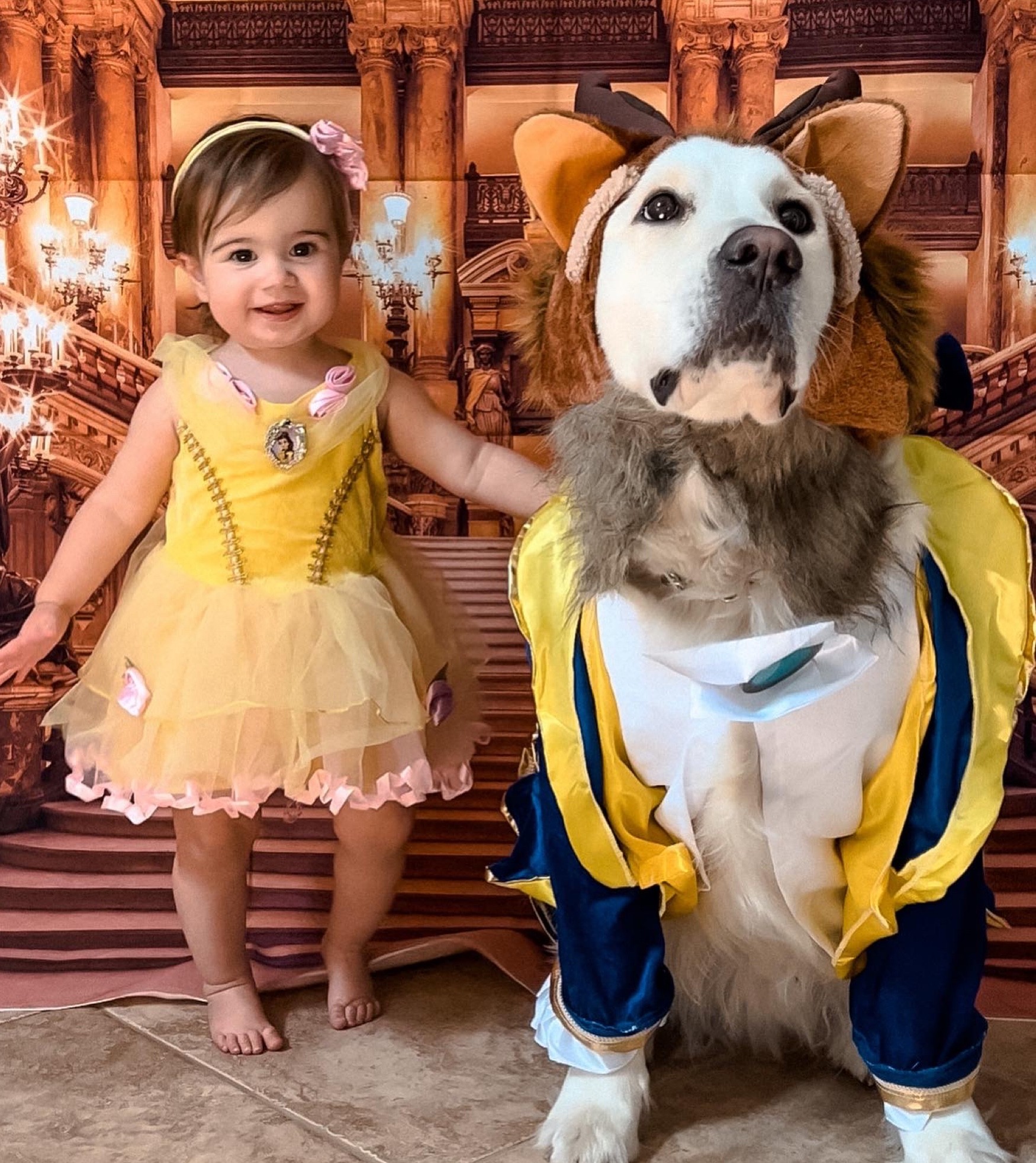 Beauty & the Beast costume

#LTKfamily #LTKbaby #LTKSeasonal