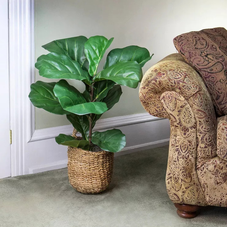 36" x 18" Artificial Fiddle Leaf Fig Plant in Basket - LCG Florals | Target