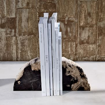 Petrified Wood Bookends (Set of 2) | West Elm (US)