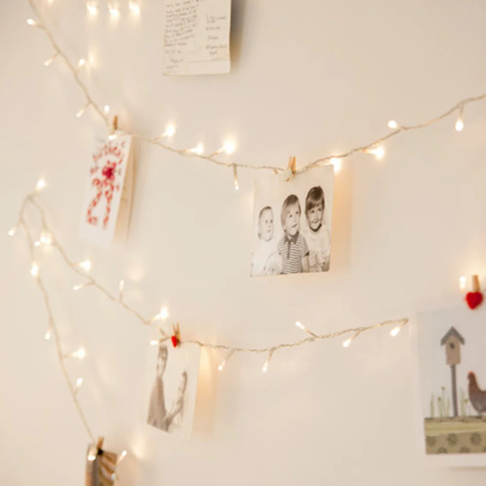 Milo Indoor Plug-in LED Wide Angle LED String Light | Wayfair North America