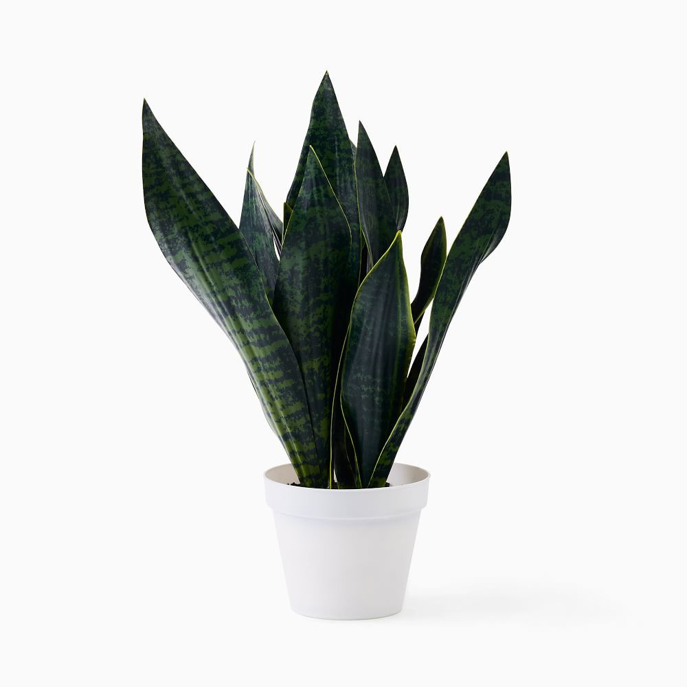 Faux Potted Snake Plant | West Elm (US)