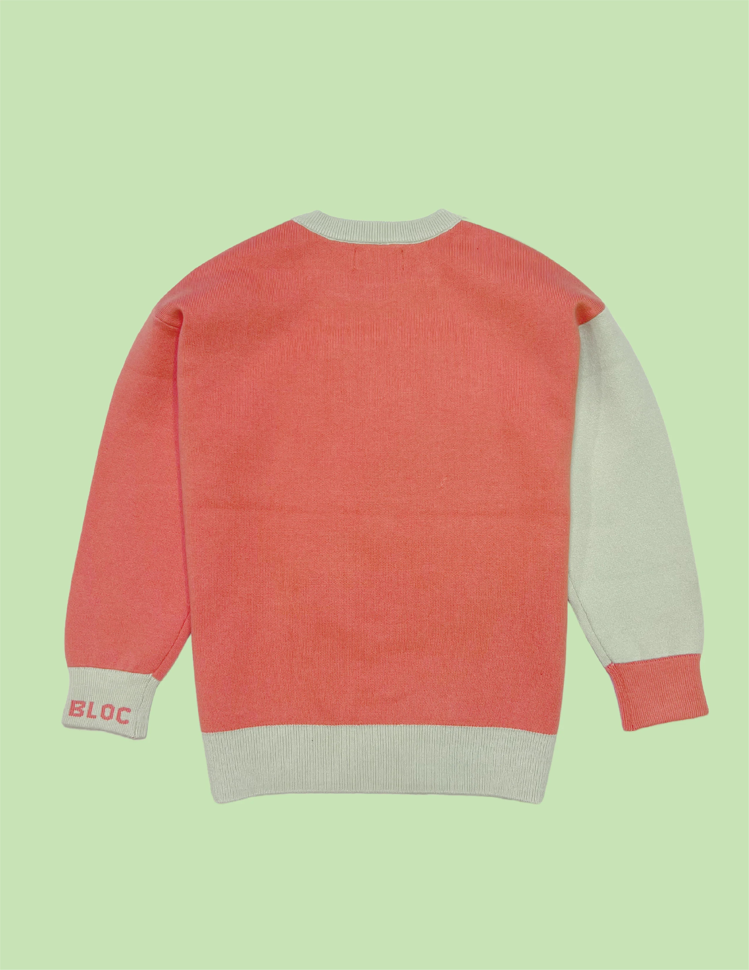 LITTLE CREWNECK: Mint Green - Final Sale | Colorbloc