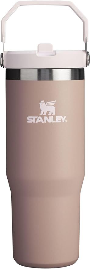 STANLEY IceFlow Stainless Steel Tumbler with Straw, Vacuum Insulated Water Bottle for Home, Offic... | Amazon (US)