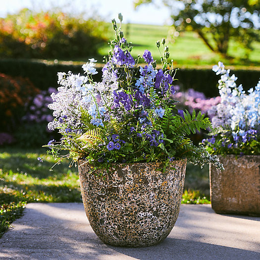 Barnacle Rounded Egg Planter, 15" | Terrain