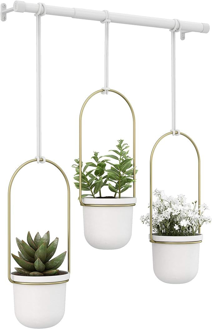 Umbra 1011748-524 Triflora Hanging Planters for Indoor Plants or Herbs, White/Brass,42" Width | Amazon (US)