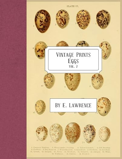 Vintage Prints: Eggs: Vol. 2 | Amazon (US)