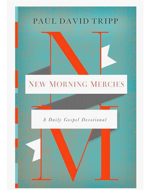 A few of my favorite devotions and books that have had life changing impact 🫶🏻

#LTKSeasonal #LTKfindsunder50 #LTKhome