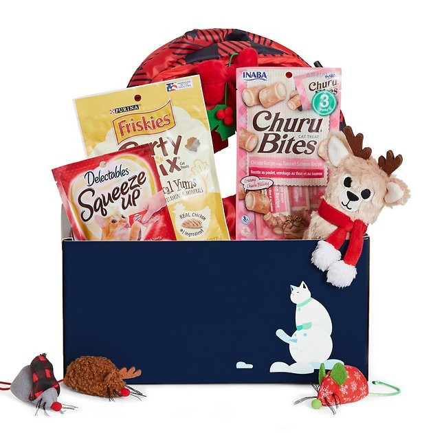 Goody Box Holiday Toys & Treats for Cats | Chewy.com