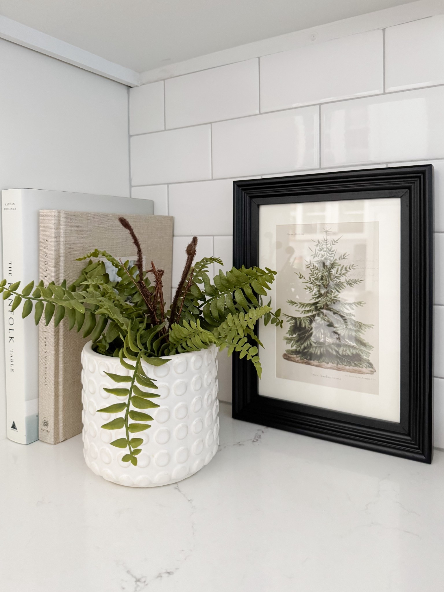 Amazon Christmas decor Kitchen home decor amazon home decor fall decor kitchen counter styling coastal inspired neutral home sherricalnanhome

#LTKHome #LTKHoliday #LTKFindsUnder50