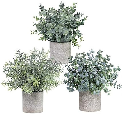 Winlyn Set of 3 Mini Potted Artificial Eucalyptus Plants Plastic Fake Green Rosemary Plant for Ho... | Amazon (US)
