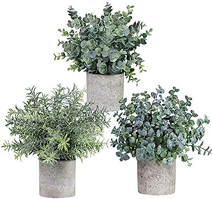 Winlyn Set of 3 Mini Potted Artificial Eucalyptus Plants Plastic Fake Green Rosemary Plant for Ho... | Amazon (US)