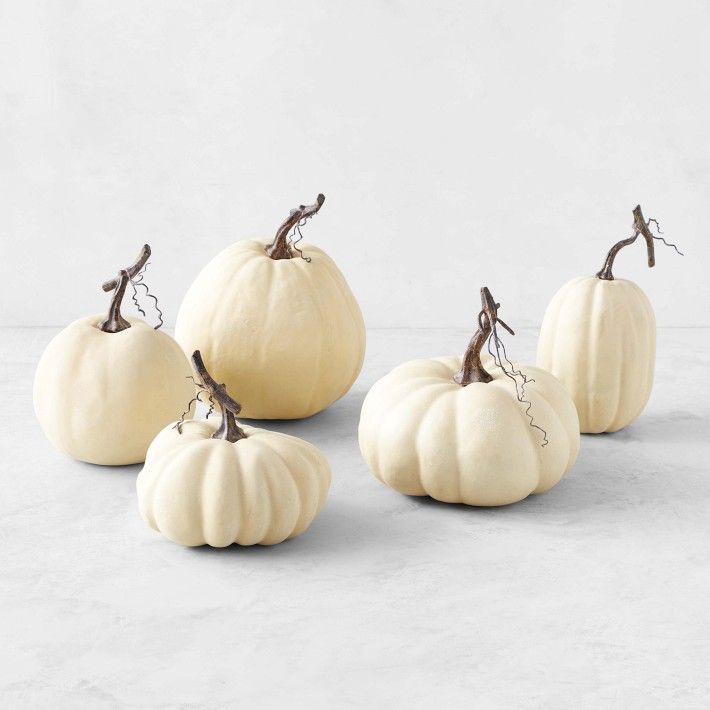 Full Moon Faux  Pumpkin Collection, Set of 5 | Williams-Sonoma
