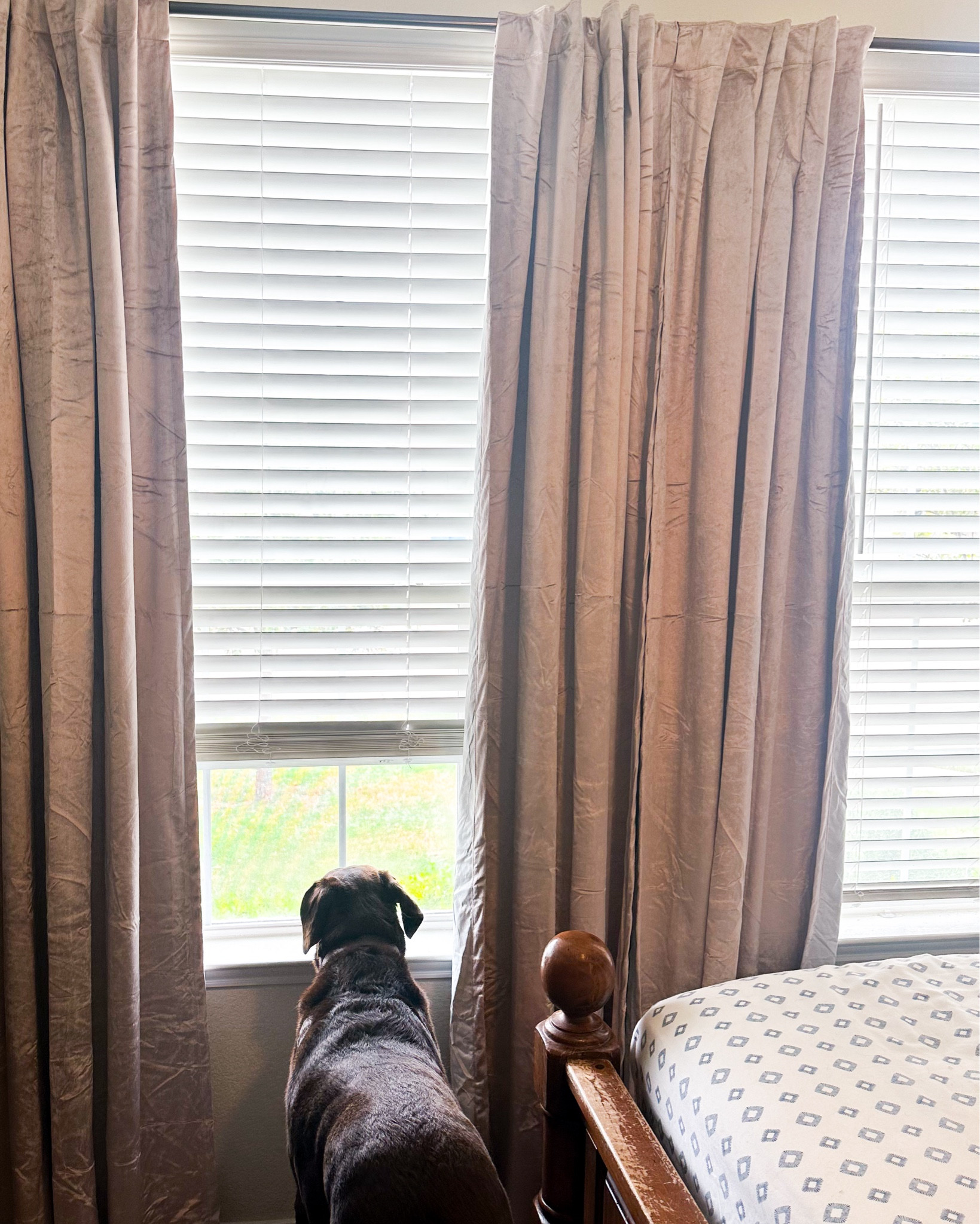 I found the perfect light pink/dusty blush blackout curtains for my daughters “big girl” room 🥹 and for such a good deal

#LTKhome #LTKstyletip
