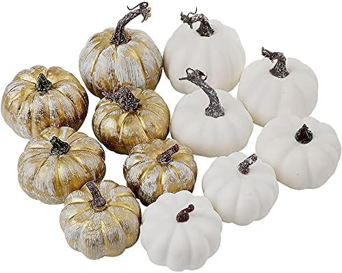 Artmag Package of 12 Assorted Fall Artificial Pumpkins 6 Frosted Pumpkins Gold Brushed and 6 Whit... | Amazon (US)