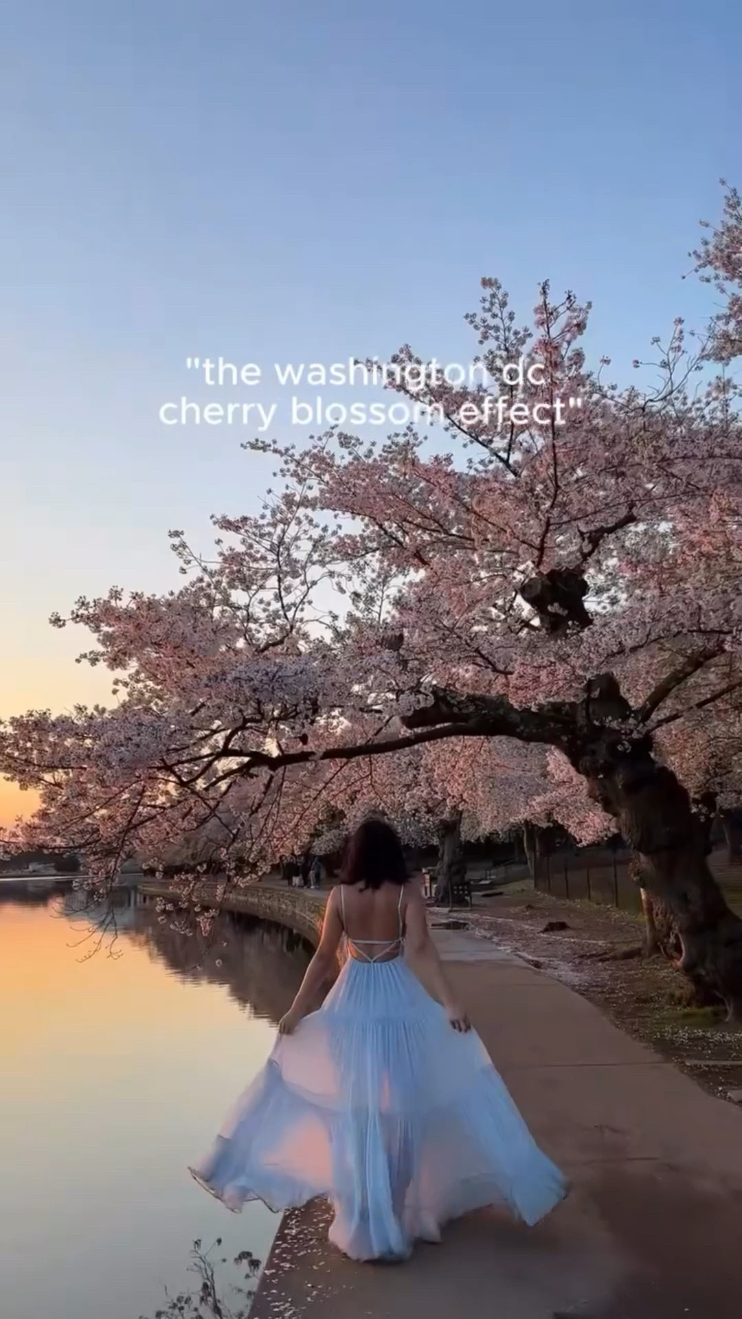 Spring dress
Wedding guest dress
Maxi dress

#washingtondc #cherryblossom #cherryblossomfestival #cherryblossomwatch #dccherryblossoms