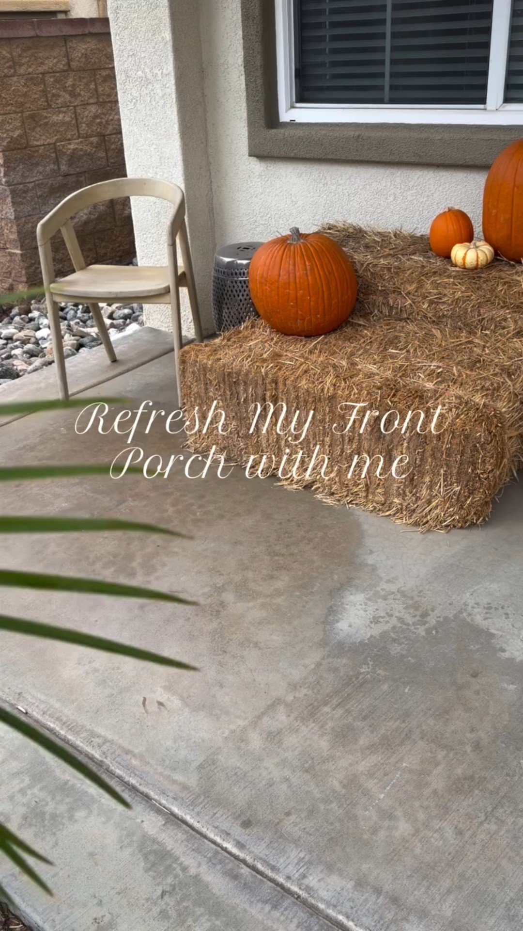 I’m loving these rocking chairs! They are so classic and clean looking. 

Now I’m trying to decide if I should add a rug or more plants…what do you think? 

#adaydreamblog #home #porch #frontporch #rockingchairs #momlife #homedecor #gift