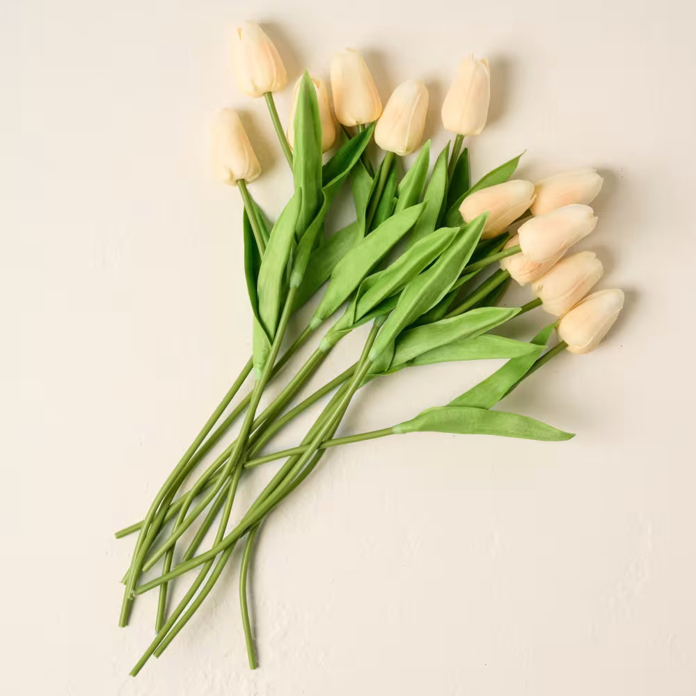 Small Tulip Bundle | Magnolia