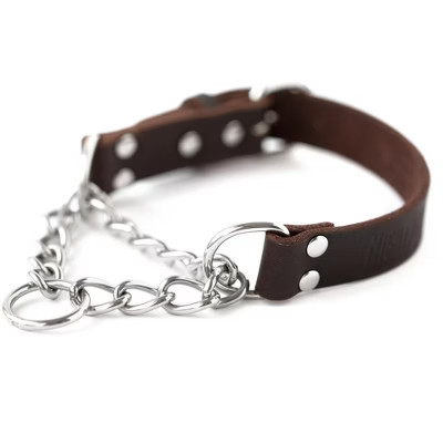 Mighty Paw Martingale Dog Collar | Leather, No Pull, Chain Cinch | M or L | Target