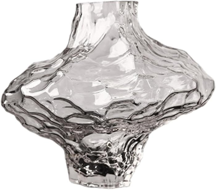 Clear Glass Vase Minimalist Flower Vase Decorative Modern Flower Vase Creative Vase for Office,De... | Amazon (US)