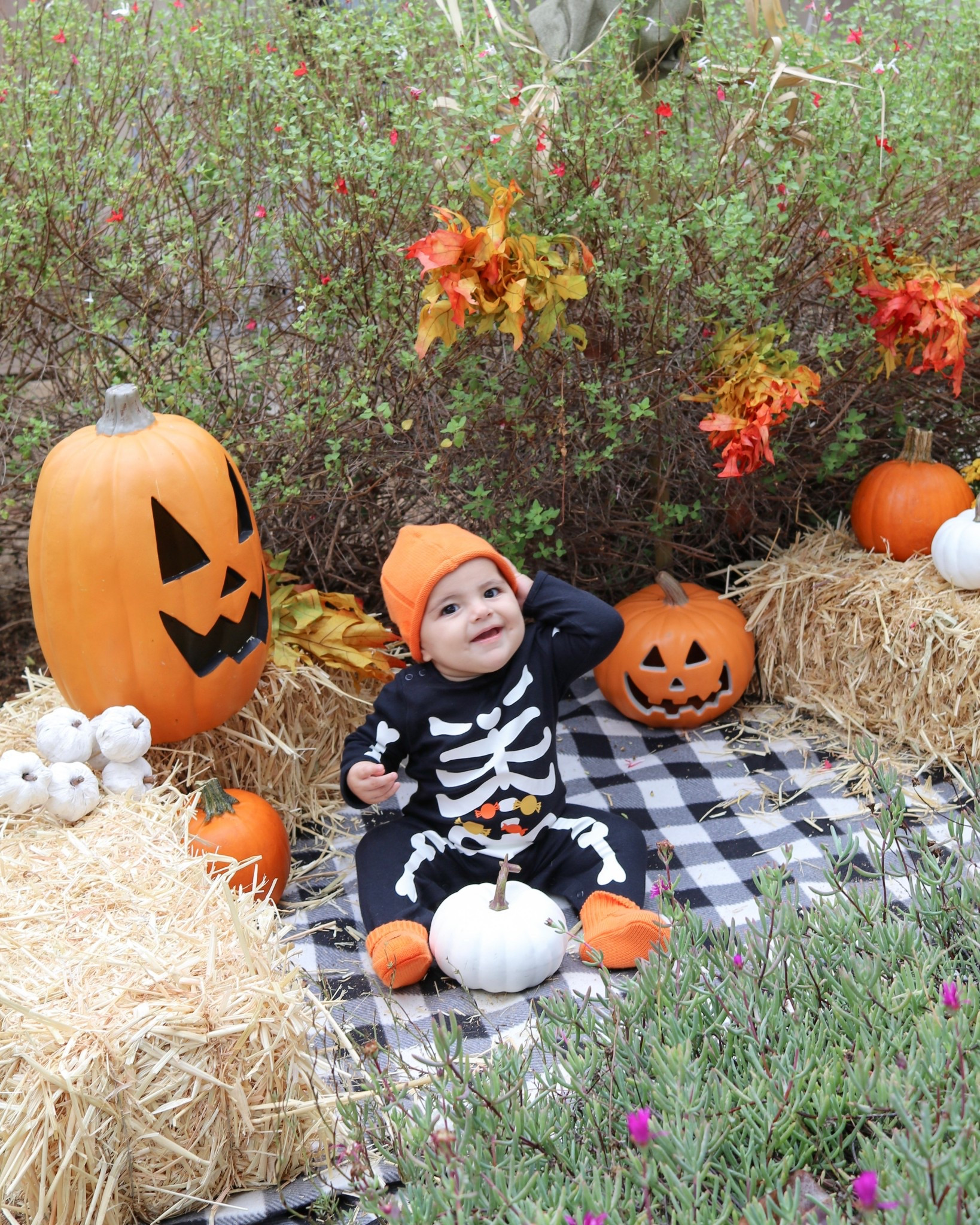 The cutest little Halloween costume for babies! This skeleton onesie and pumpkin beanie are back in stock!

#LTKSeasonal #LTKBaby #LTKKids