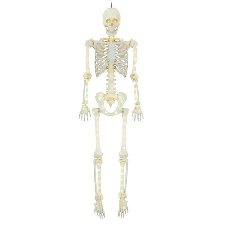 5ft Light Up Poseable Skeleton Decoration, Halloween Outdoor Decor, by Way To Celebrate | Walmart (US)