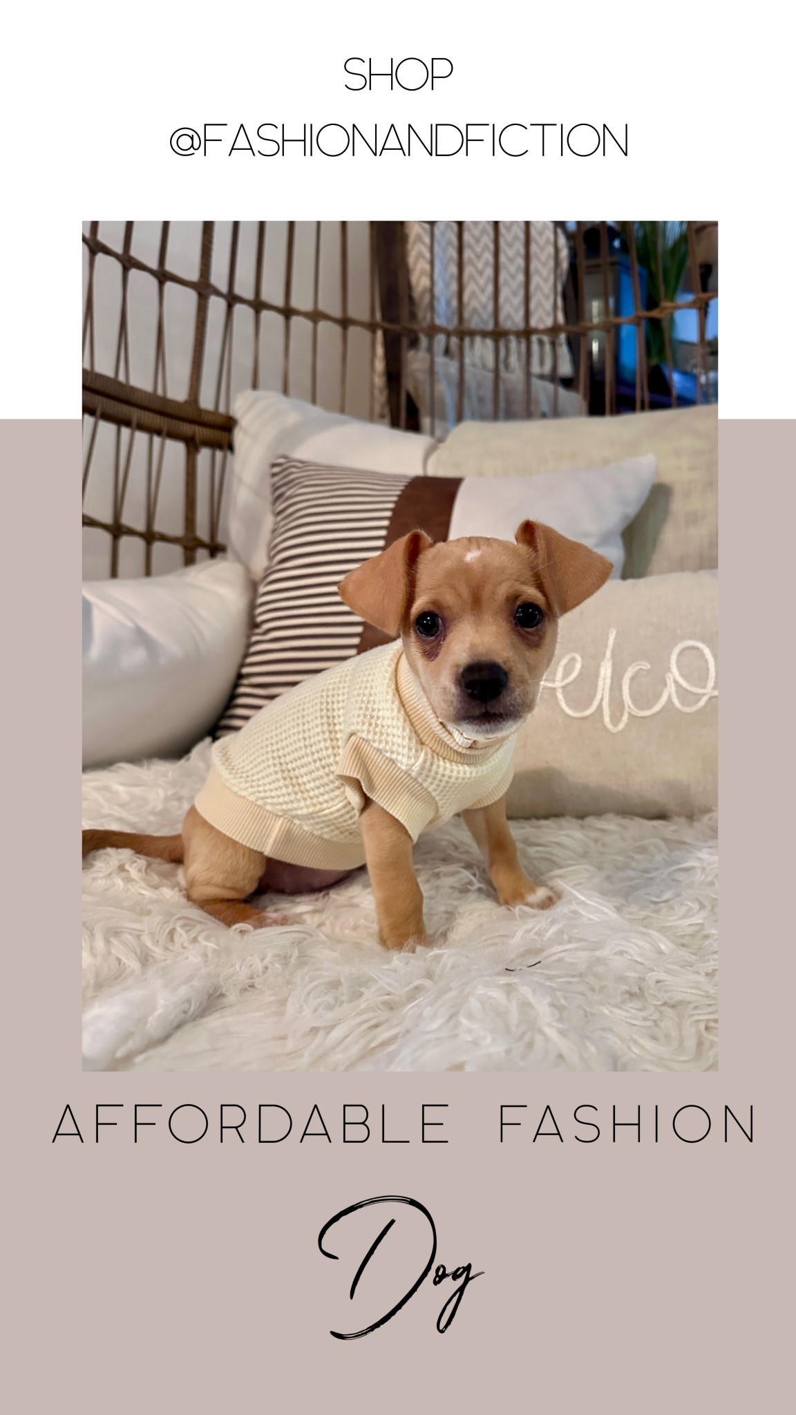 Soft, lightweight waffle knit tee from Amazon. It’s Daisy’s must have spring look. Plus, there is a matching look for mom! #LTKdog