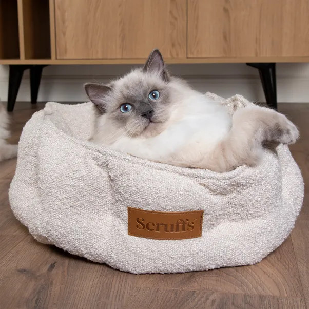 Scruffs Boucle Cat Bed | Dunelm