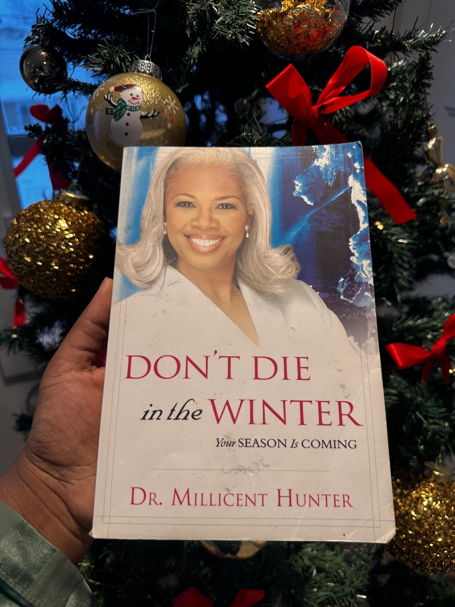 The book for the season! ❄️

#LTKGiftGuide