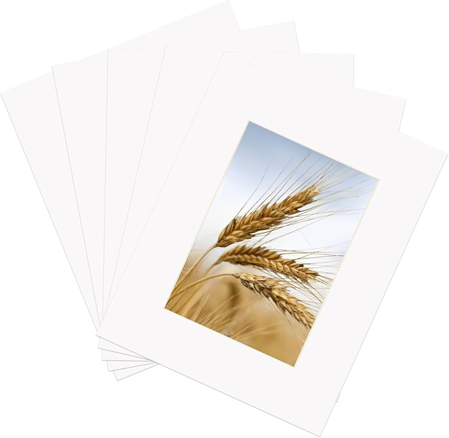 ZBEIVAN 8x10 White Picture Mats with Core Bevel Cut Frame Mattes for 5x7 Pictures - Pack of 5 | Amazon (US)