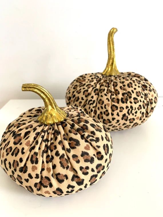 Leopard print pumpkins. | Etsy (US)