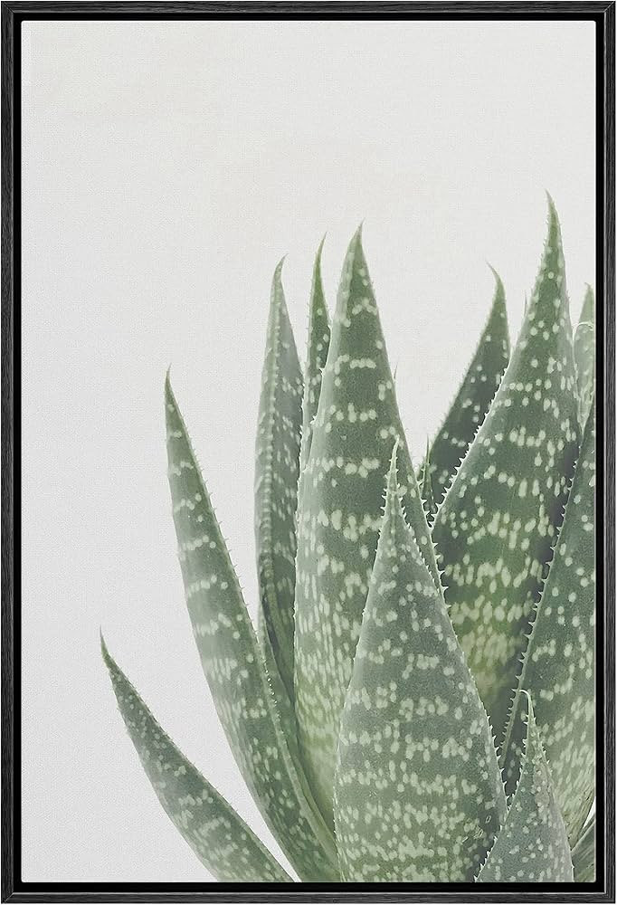 Zenobia Framed Canvas Print Wall Art Side Profile of Green Snake Plant Nature Plants Photography ... | Amazon (US)