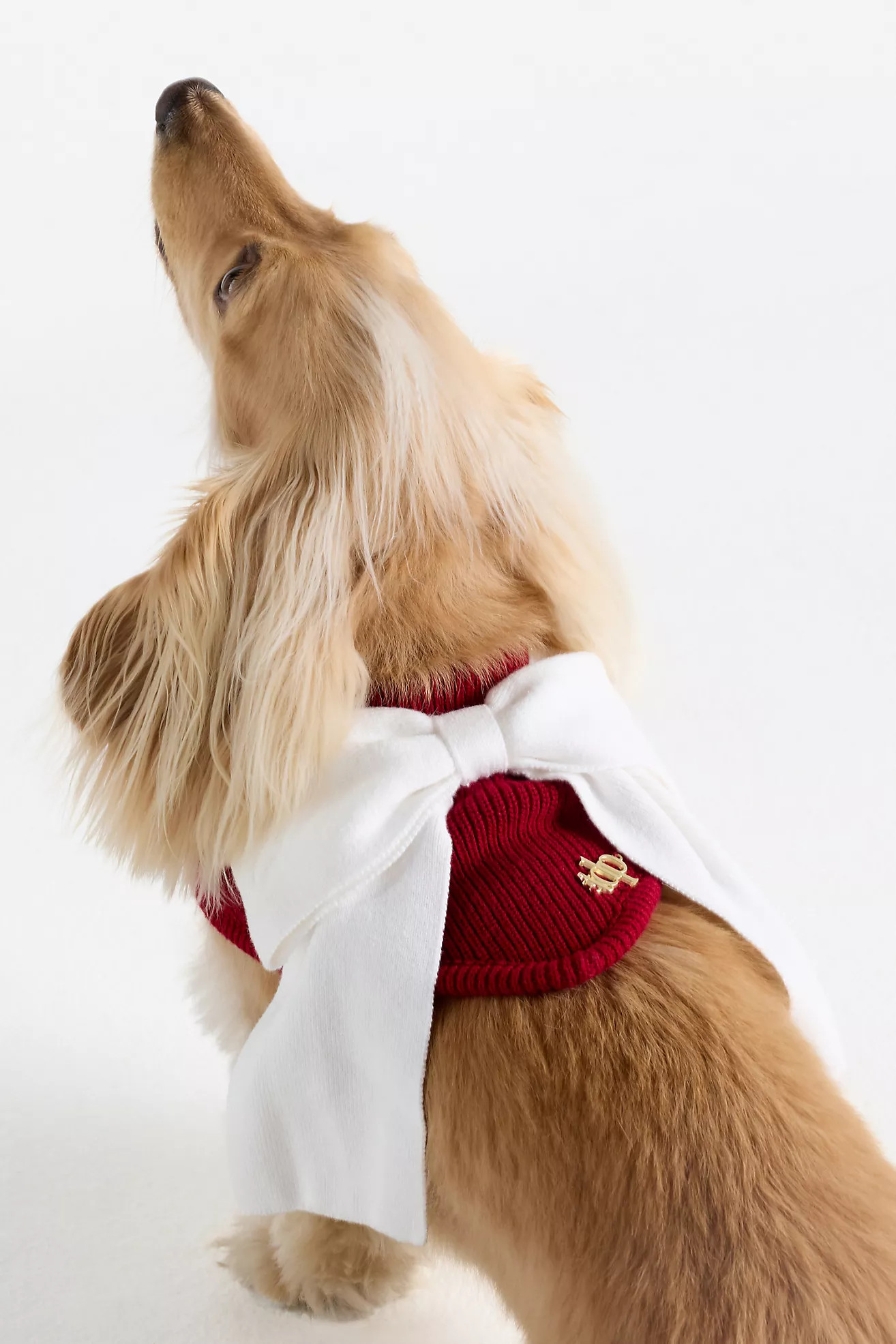 The Deluxe Pup Holiday Knit Pet Bandana | Anthropologie (US)