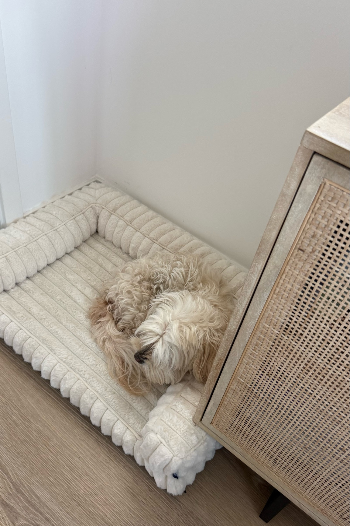 Gorgeous orthopedic dog bed 

#LTKHome #LTKmomlife