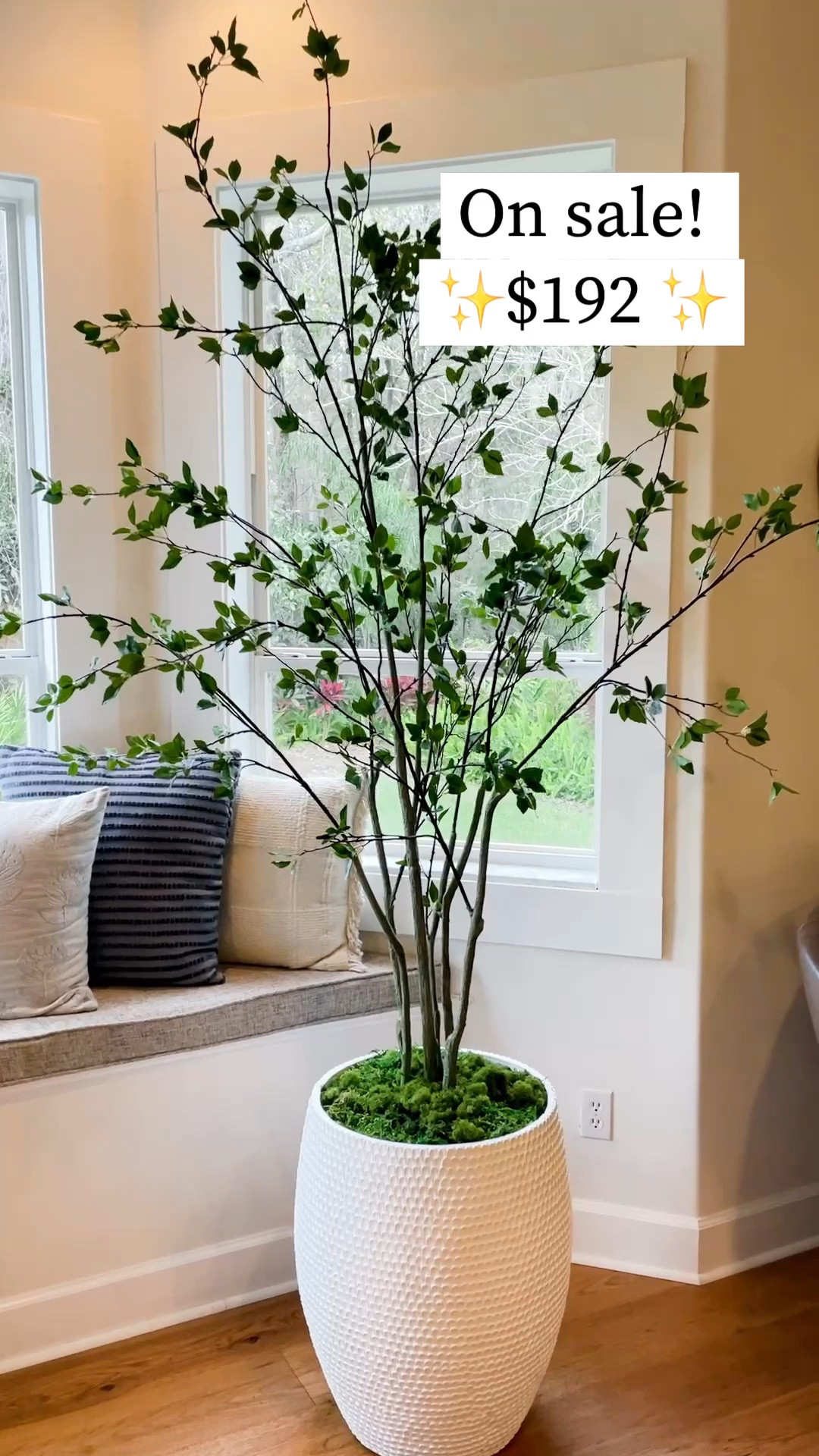 This is my most favorite tree ever! It’s so realistic, fills the space but isn’t overpowering because it’s so wispy and airy.  Get one before they sell out! 

#LTKVideo #LTKhome