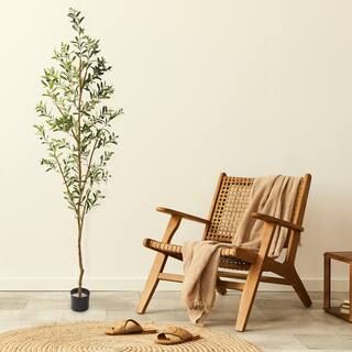 6.8ft. Potted Olive Tree | Michaels | Michaels Stores