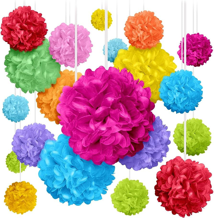 Avoseta Tissue Paper Pom Poms - 20 Piece Set - Colorful Party Decorations - Paper Flowers for Bir... | Amazon (US)
