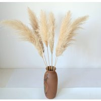 Ghy Decor 6 Stems Natural Pampas Grass Dried Flower Bouquet 35"" Large Fluffy Real Arrangement For W | Etsy (US)