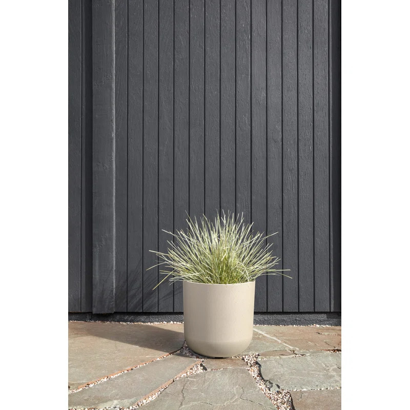 Pure Series Planter | Wayfair North America