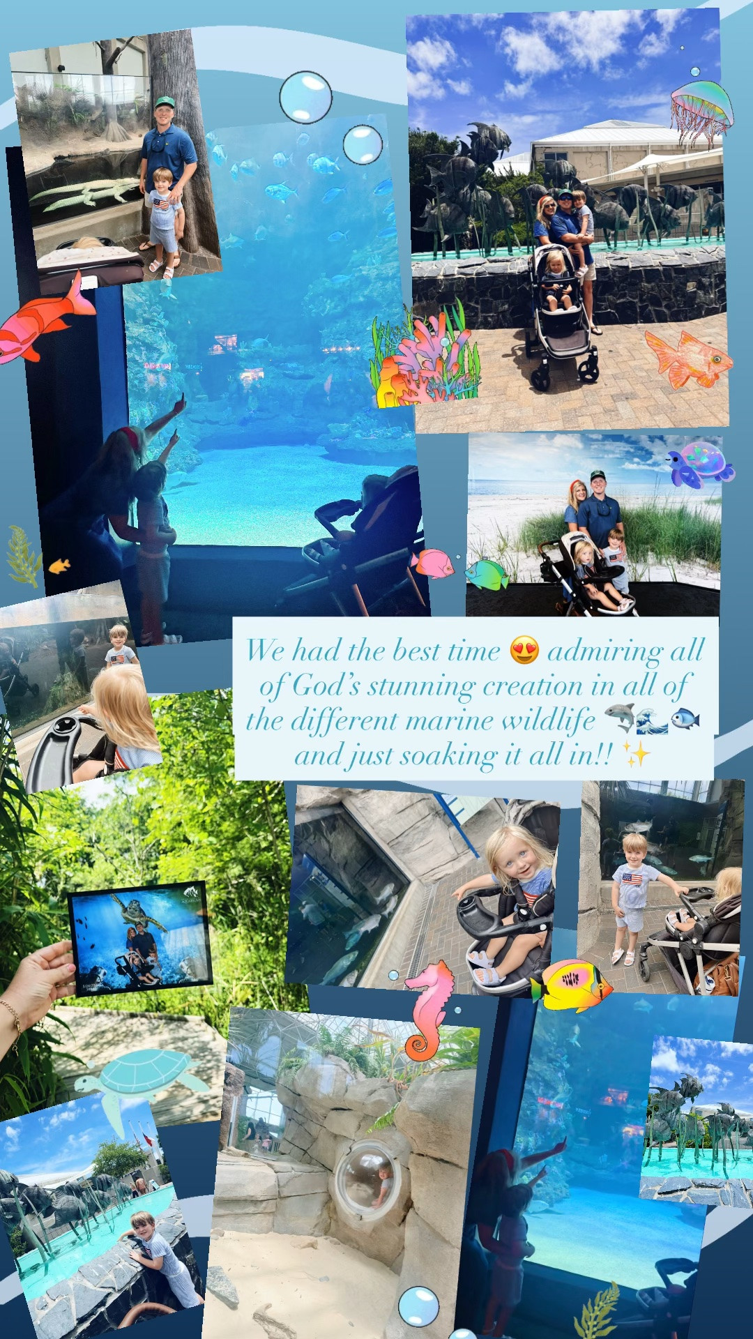 We had the best time 😍 admiring all of God’s stunning creation in all of the different marine wildlife 🦈🌊🐟and just soaking it all in!! ✨